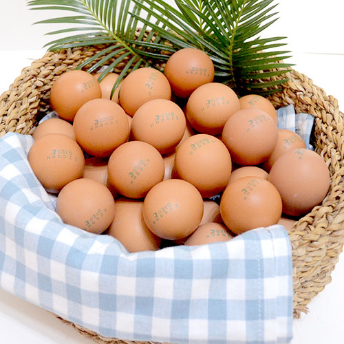 계란(40구, 무항생제)